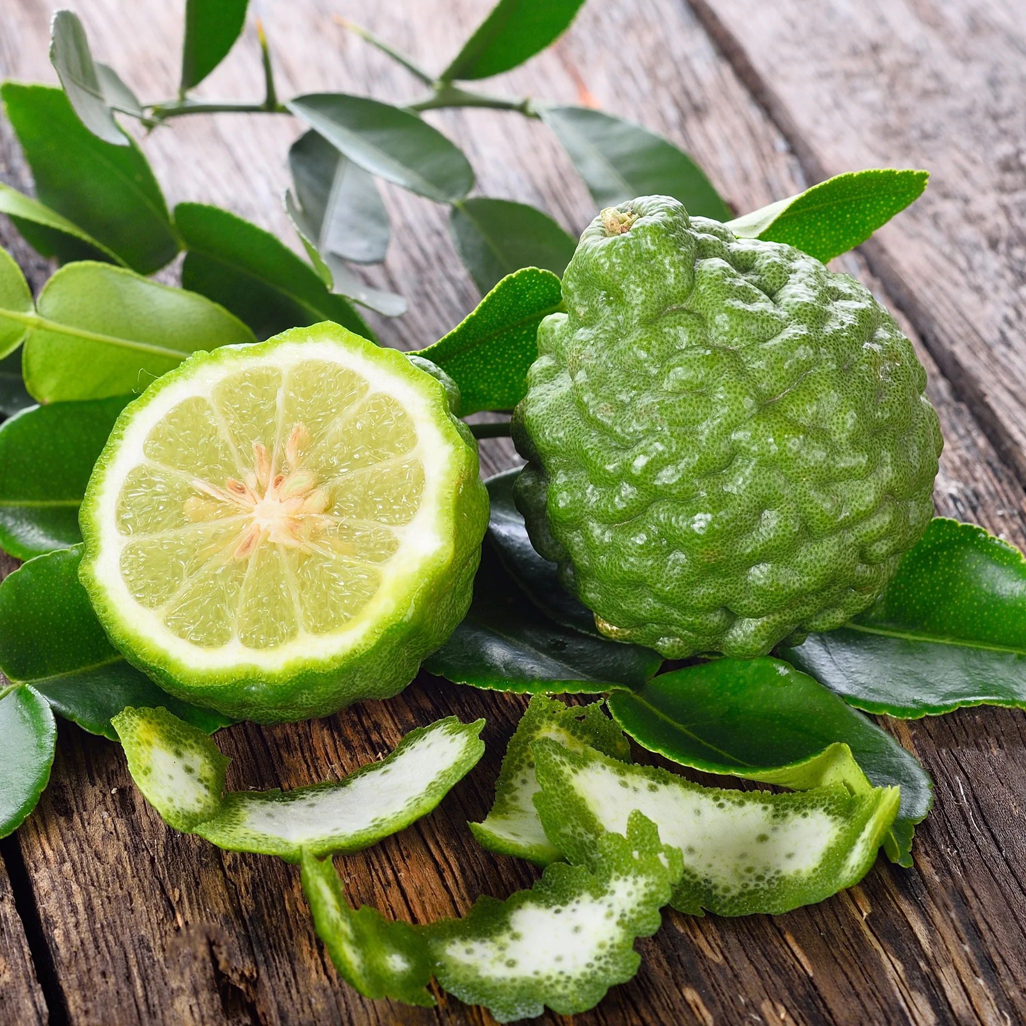 Bergamot & Fir Fragrance Oil