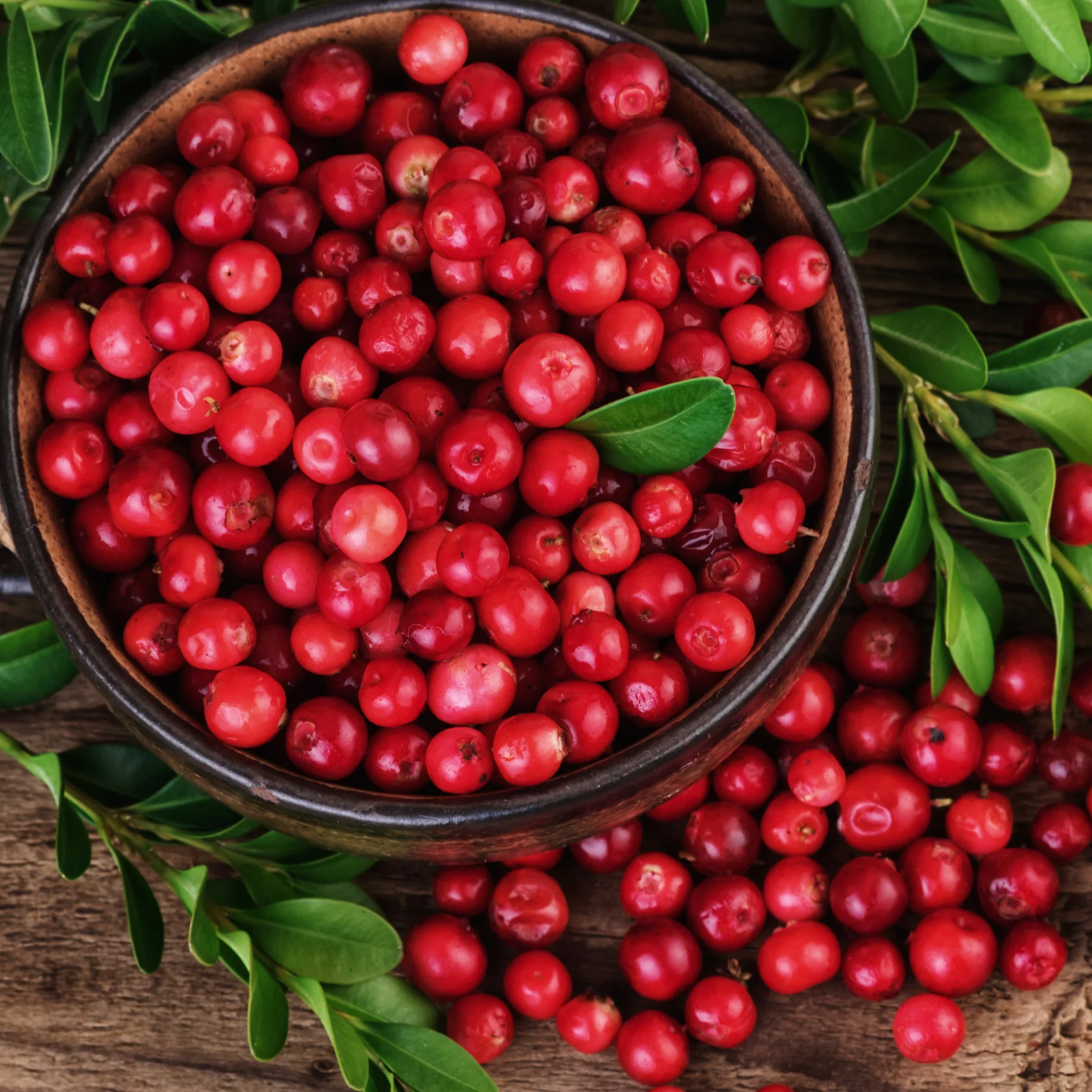 Cranberry - White Fragrance Oil