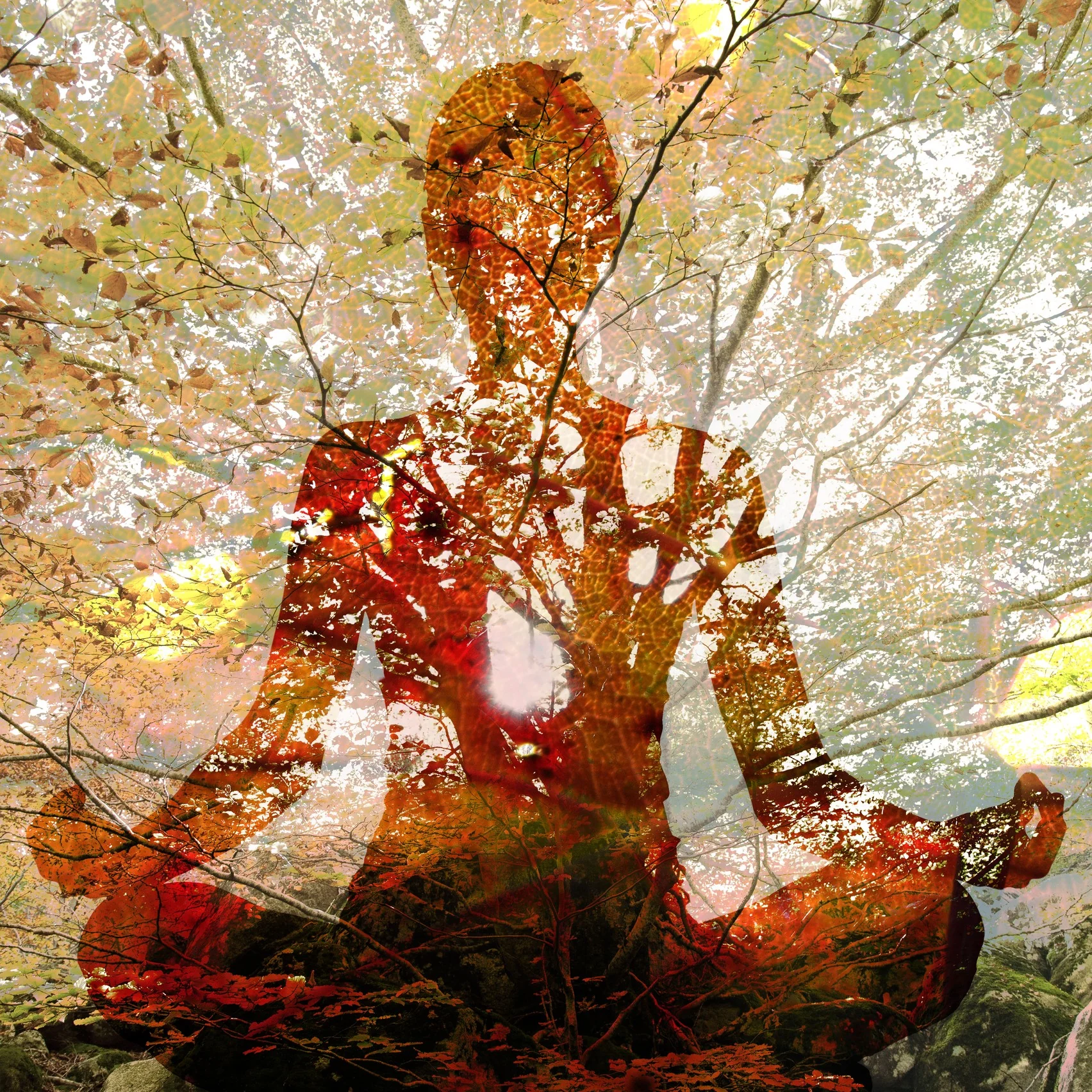 Inner Peace Fragrance Oil