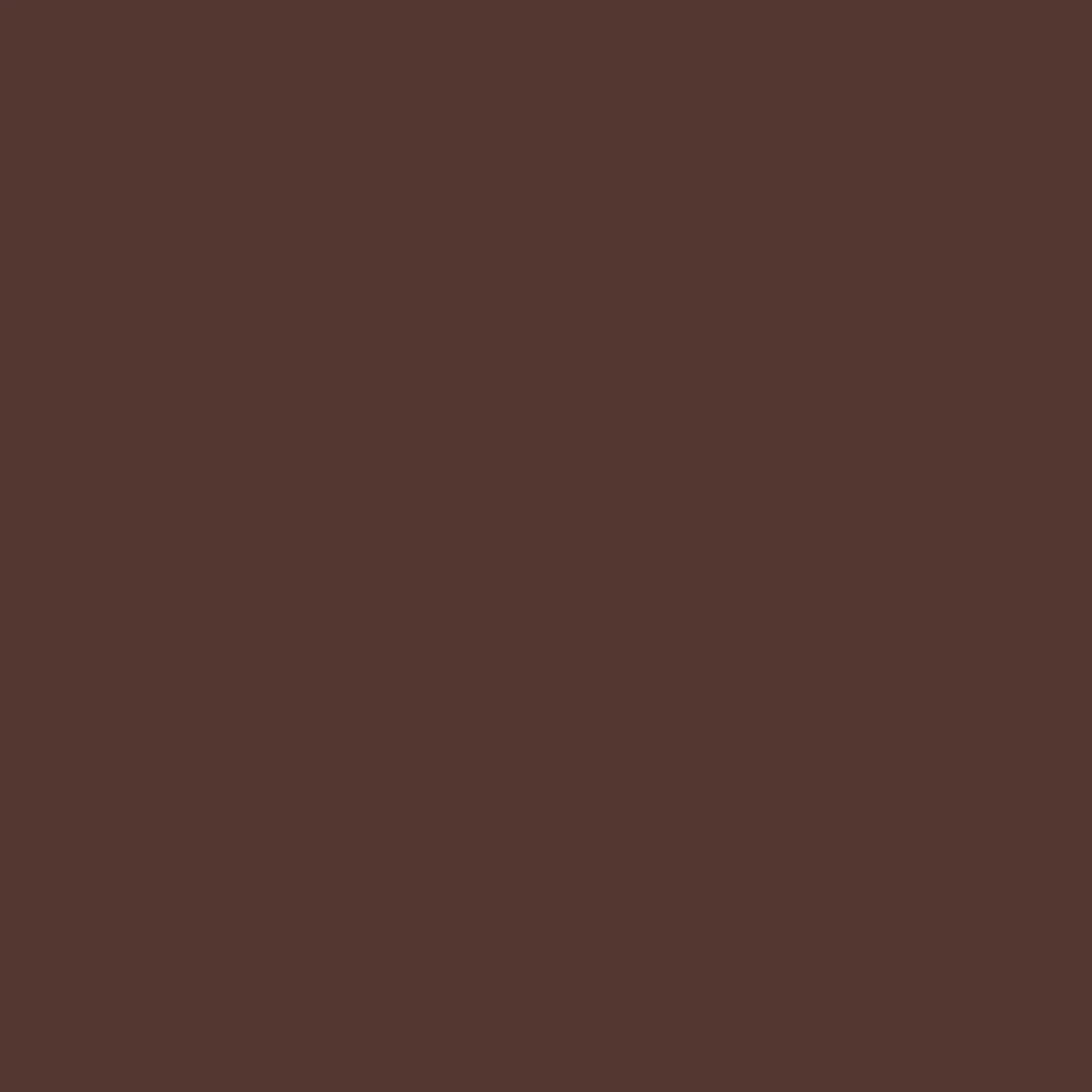 Reddig-Glo Diamond Dye Chips - Brown